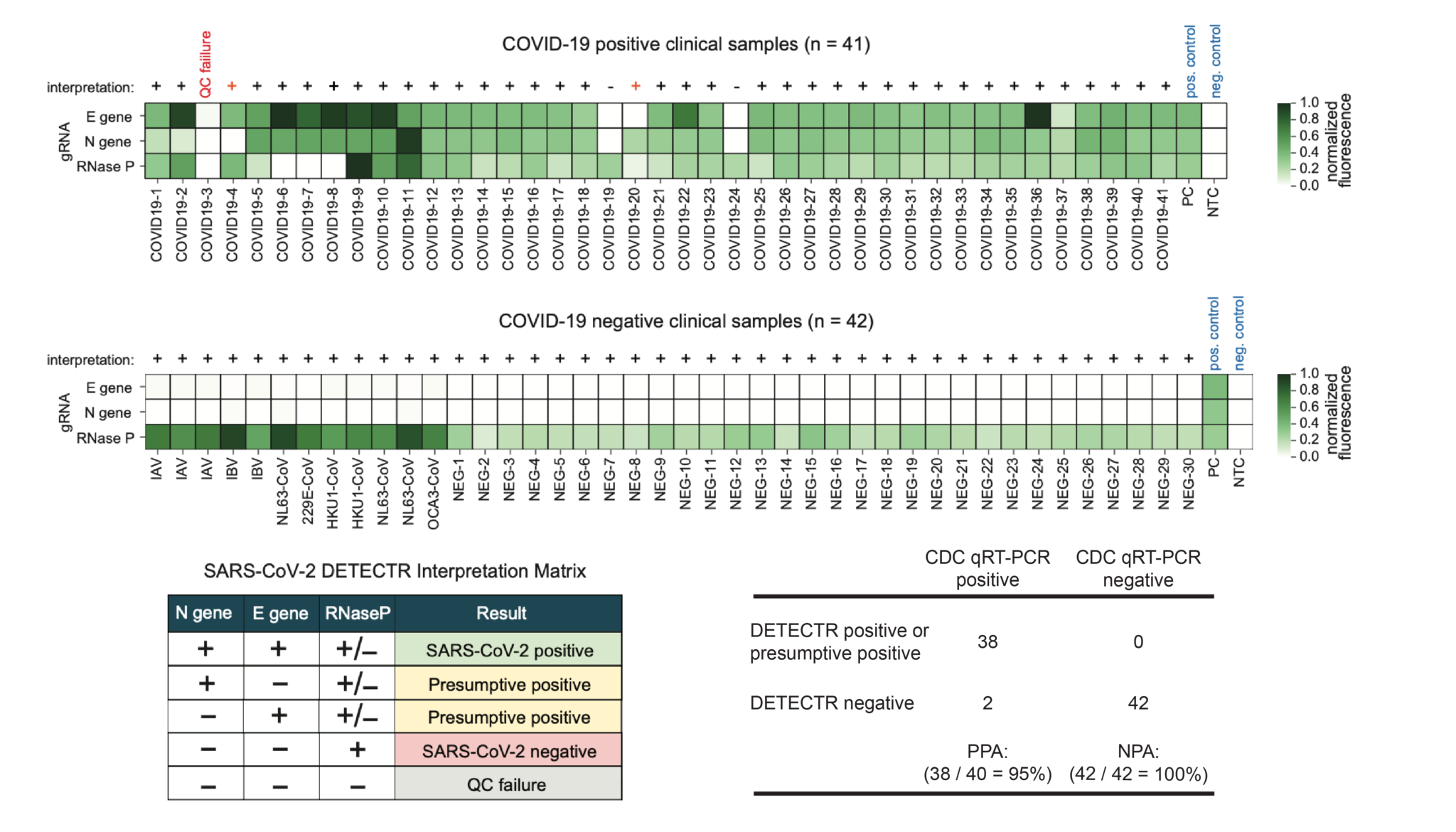 White Paper A Protocol For Rapid Detection Of Sars Cov Using Crispr