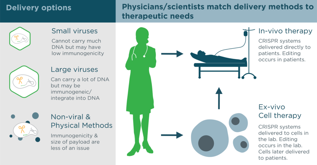 CRISPR delivery: One size does not fit all - Mammoth Biosciences