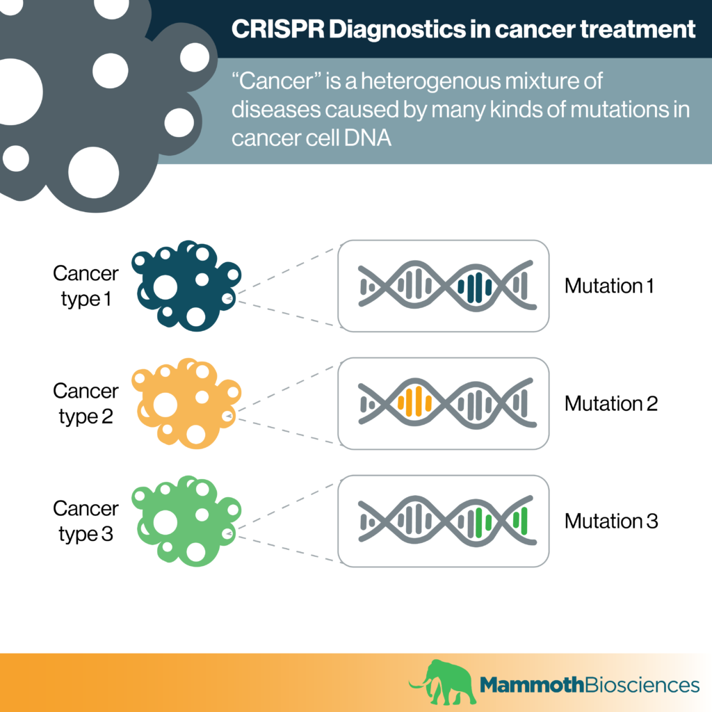 CRISPR diagnostics in cancer treatment - Mammoth Biosciences