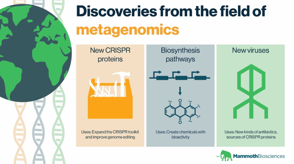 Discoveries From The Field Of Metagenomics - Mammoth Biosciences