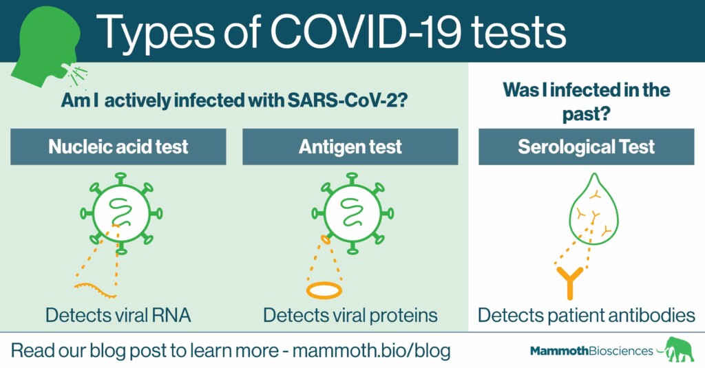 Types of COVID 19 Test Infographic Twitter 08
