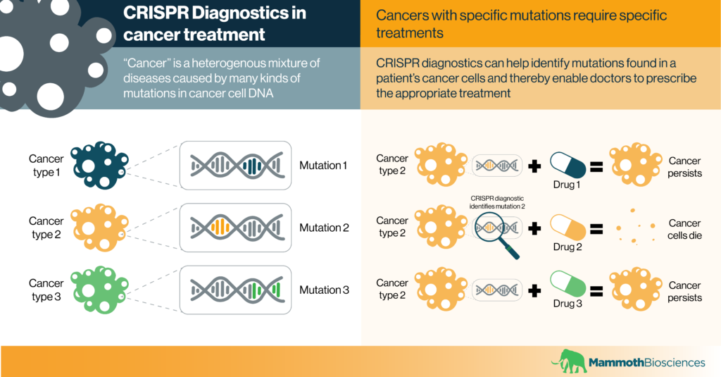 Infographic showing how CRISPR diagnostics can help healthcare providers identify specific types of cancer and thereby prescribe appropriate treatments to patients.
