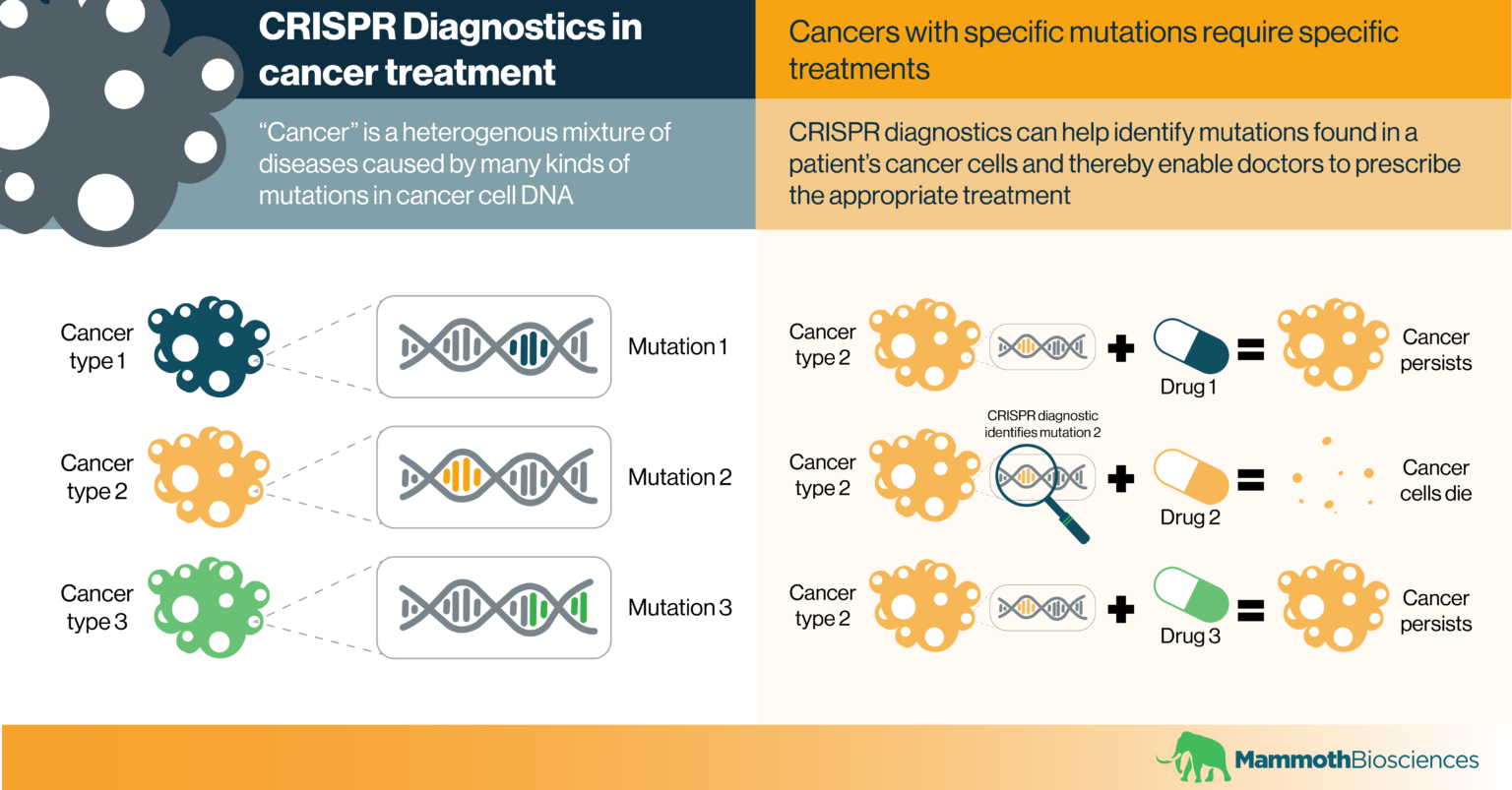 Crispr Diagnostics In Cancer Treatment Mammoth Biosciences 4976