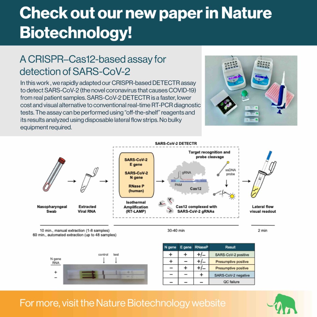 Image summarizing Mammoth Bioscience's recent paper describing the development of a CRISPR-based SARS-CoV-2 DETECTR.