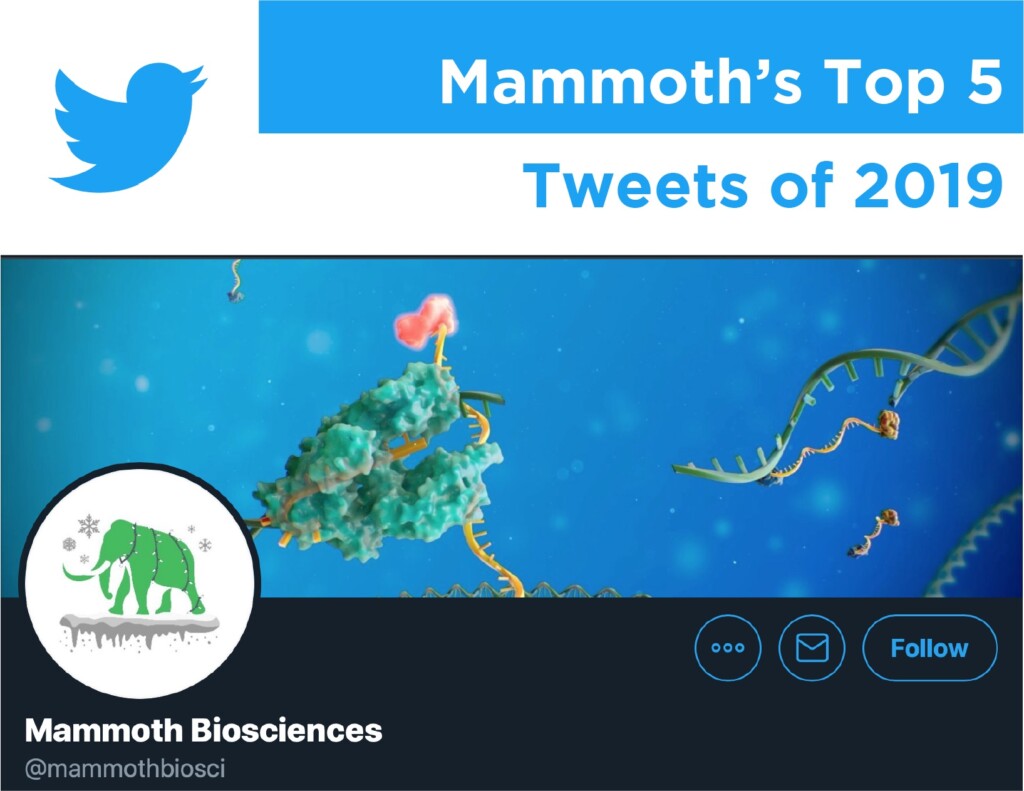 Banner image with the Twitter logo showing a screen shot of Mammoth Bioscience's twitter profile and the words "Mammoth's Top 5 Tweets of 2019."