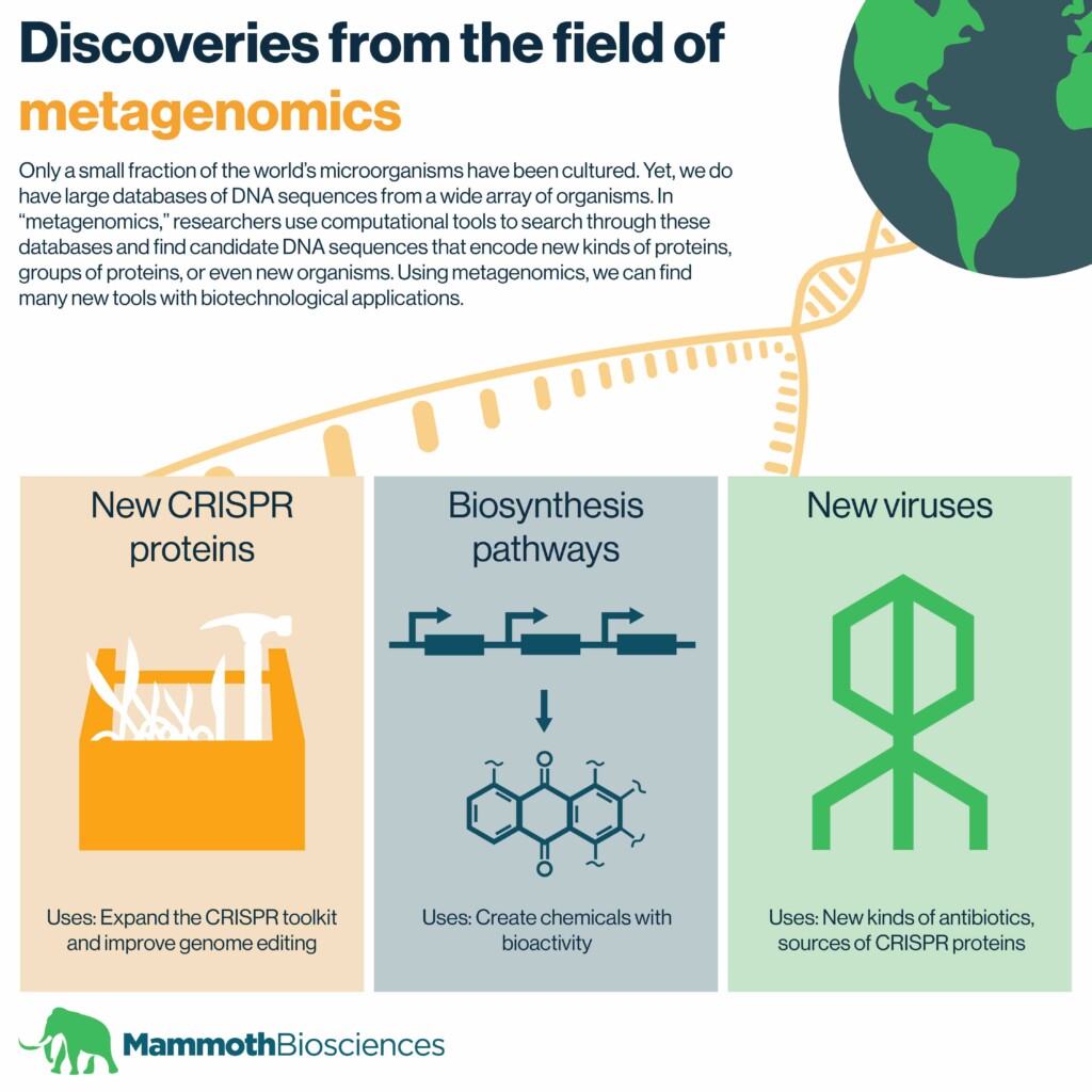 Infographic displaying some of the discoveries that have come from metagenomics including: new CRISPR proteins, biosynthesis pathways, and new viruses.