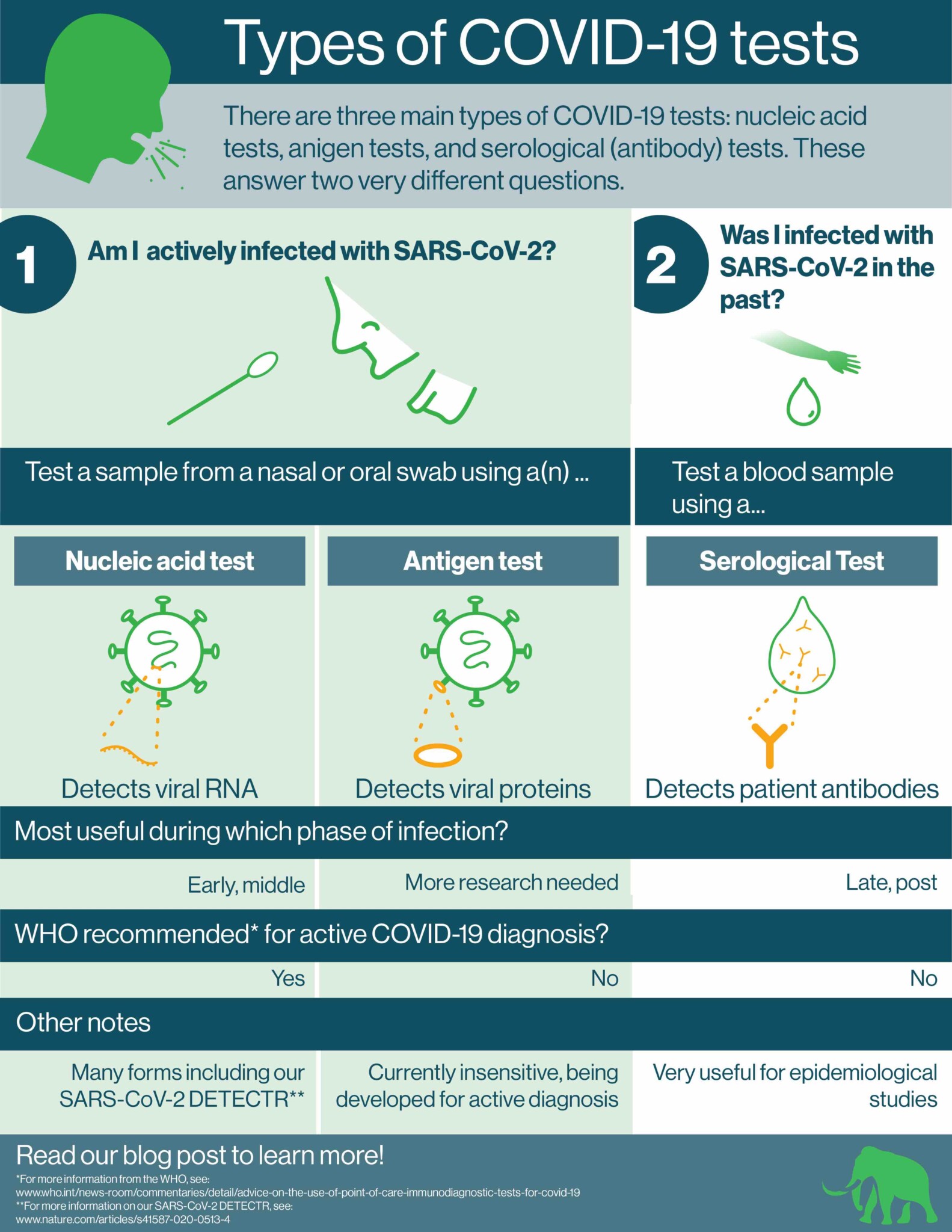 types-of-covid-19-tests-mammoth-biosciences