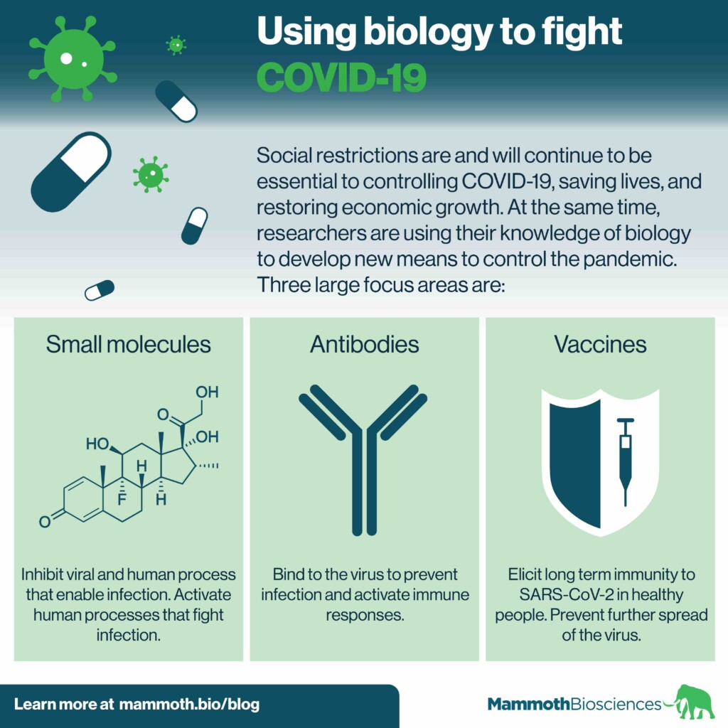 Infographic describing how small molecules, antibodies, and vaccines can be used to control the COVID19 pandemic.