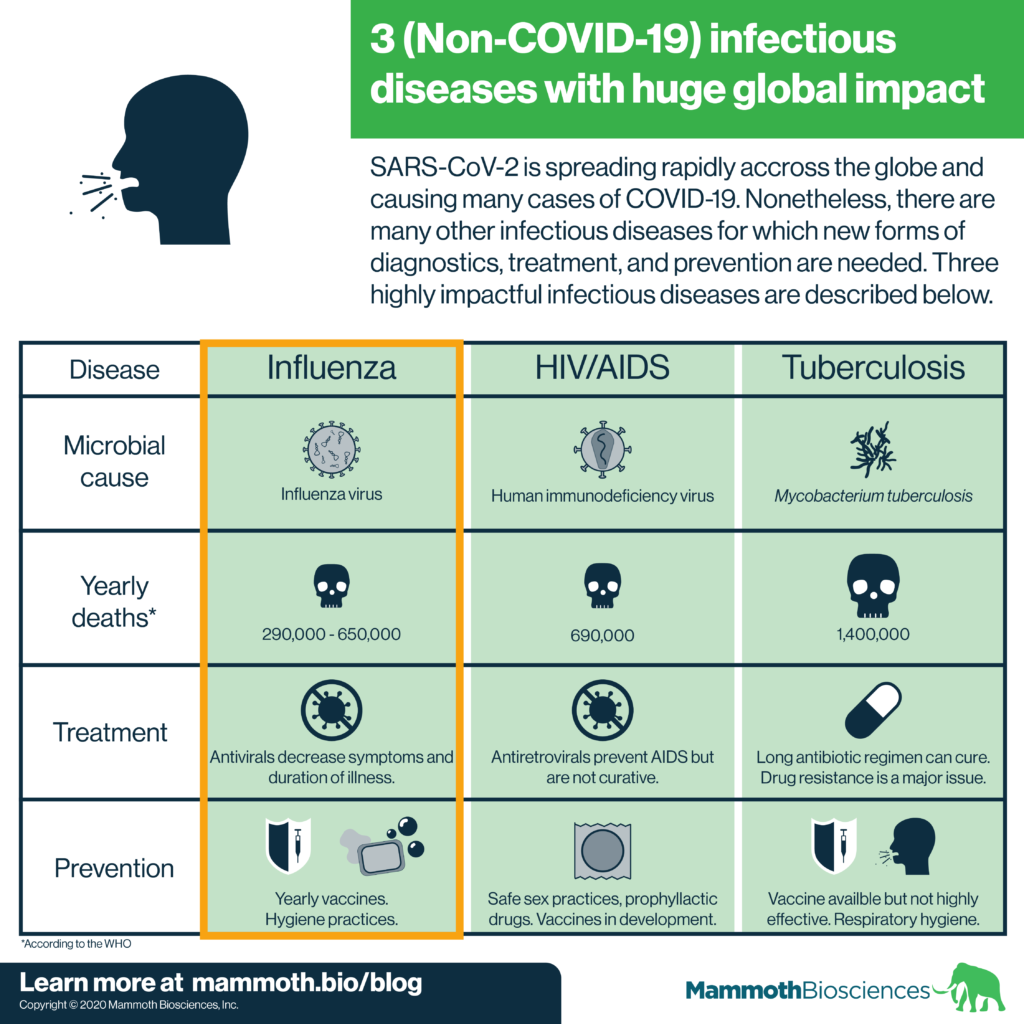 further research on influenza