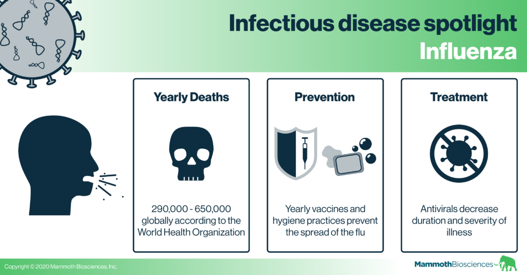 Image showing some of the key characteristics of influenza including that it causes 290,000 - 650,000 deaths globally each year according to the WHO, that vaccines and hygiene practices can prevent its spread, and that antivirals decrease the duration and severity of illness due to flu infection.