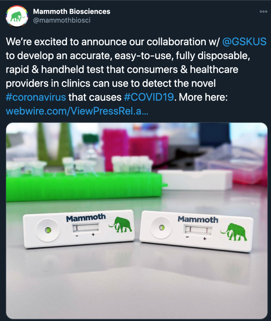 Screenshot from the Mammoth Twitter account displaying a tweet that reads "Were excited to announce our collaboration w/@GSKUS to develop an accurate, easy-to-use, fully disposable, rapid  handheld test that consumers  healthcare providers in clinics can use to detect the novel #coronavirus that causes #COVID19.