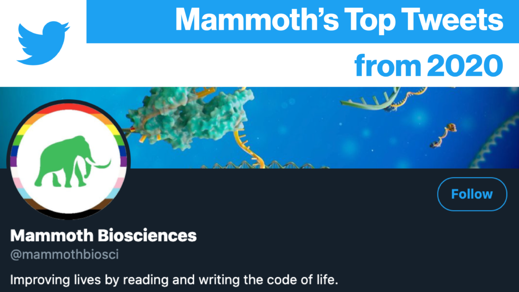 Banner image for Mammoth Biosciences' "Top Tweets from 2020" blog post. The banner features a screen shot from Mammoth's Twitter account.