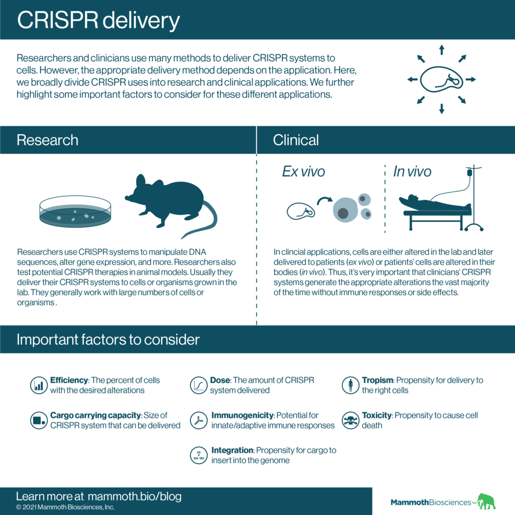 Image breaking down uses of CRISPR into research applications and clinical applications. The image showcases some of the important factors to consider in CRISPR delivery. This include: efficiency, cargo carrying capacity, dose, immunogenicity, integration, tropism, and toxicity.