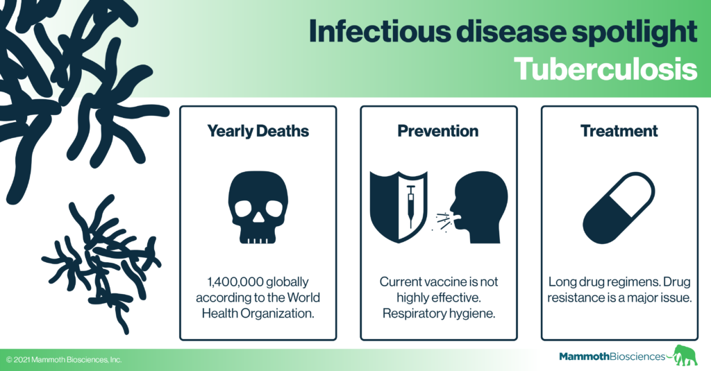 Graphic highlighting some facts about tuberculosis - Yearly deaths: 1,400,000 globally according to the WHO. Prevention: Vaccine available but not highly effective, respiratory hygiene. Treatment: Long antibiotic regimens, but drug resistance is a major issue.
