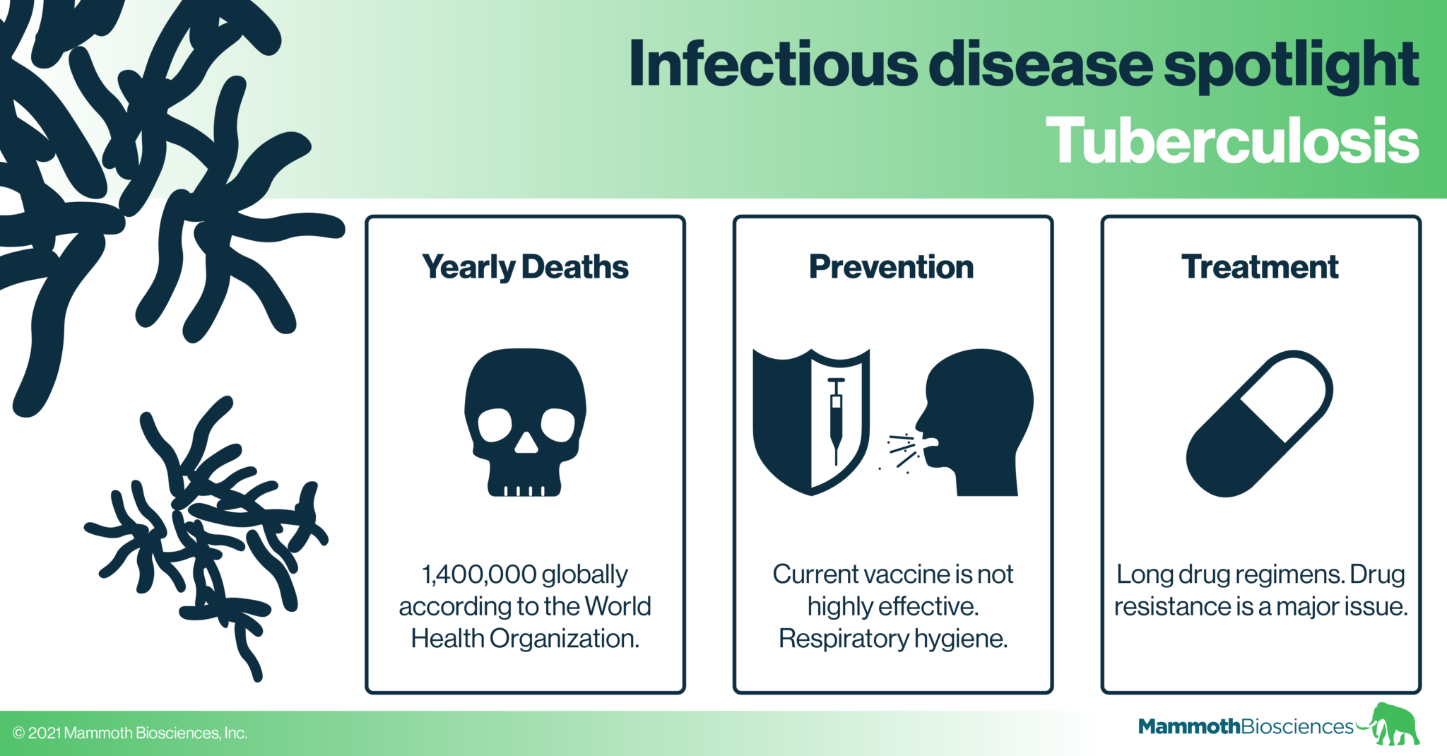 Infectious Disease Spotlight: Tuberculosis - Mammoth Biosciences