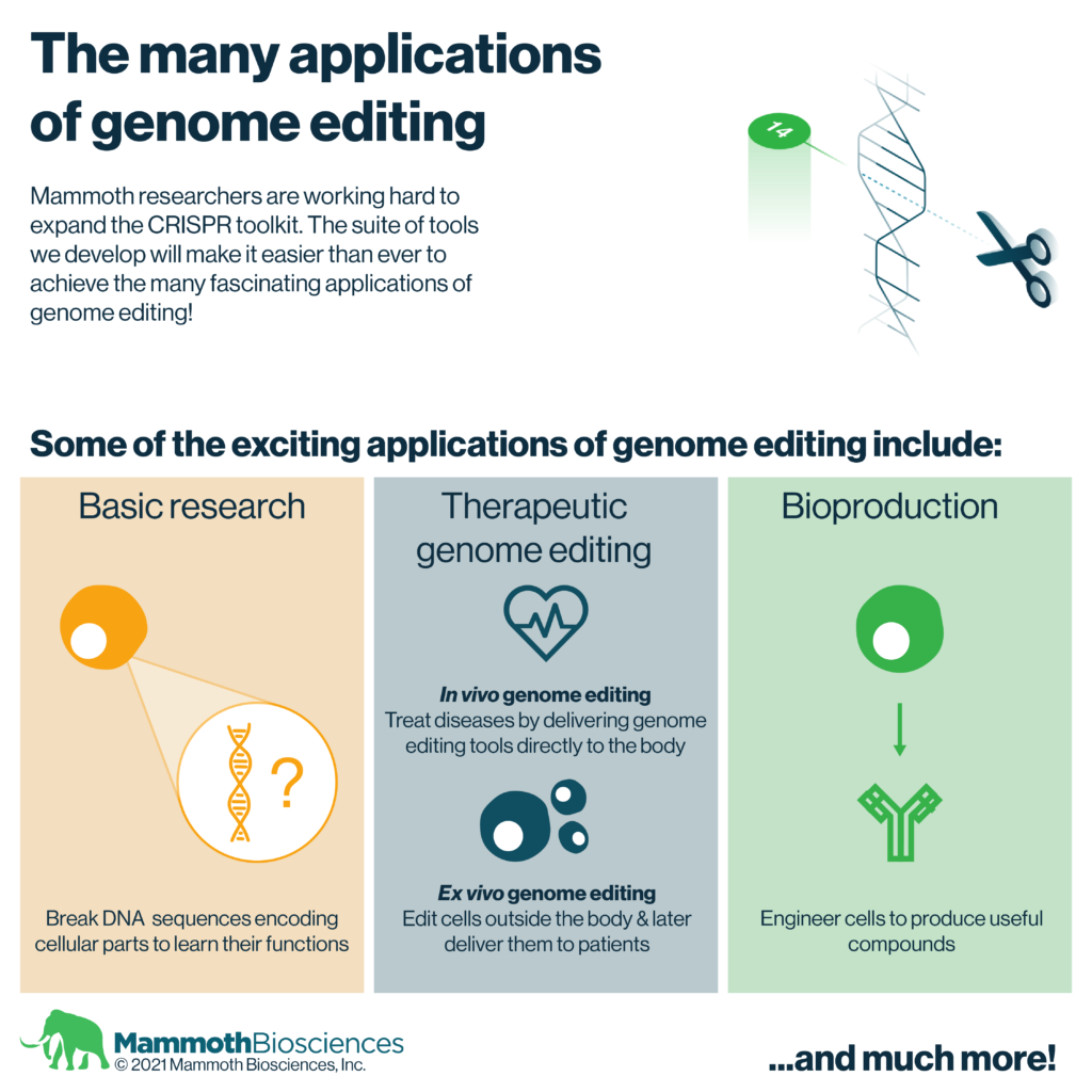 Image highlighting some of the applications of genome editing including basic research, therapeutic genome editing, and bioproduction