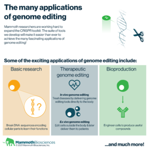 The Many Applications Of (CRISPR) Genome Editing - Mammoth Biosciences