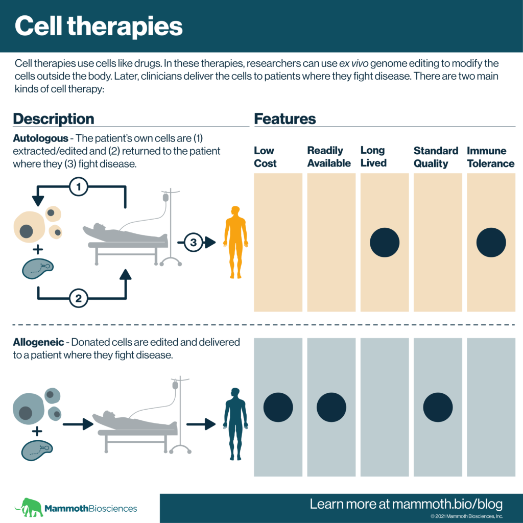 Graphic providing an overview of autologous and allogeneic cell therapies. Cell therapies use cells like drugs. In these therapies, researchers can use ex vivo genome editing to modify the cells outside the body. Later, clinicians deliver the cells to patients where they fight disease. In autologous cell therapies, the patient's own cells are extracted/edited and returned to the patient where they fight disease, In allogeneic cell therapies, donated cells are edited and delivered to a patient where they fight disease. While autologous cell therapies are likely to be long lived and tolerated by the immune system, allogeneic cell therapies may cost less, be more readily available, and have higher standard quality.