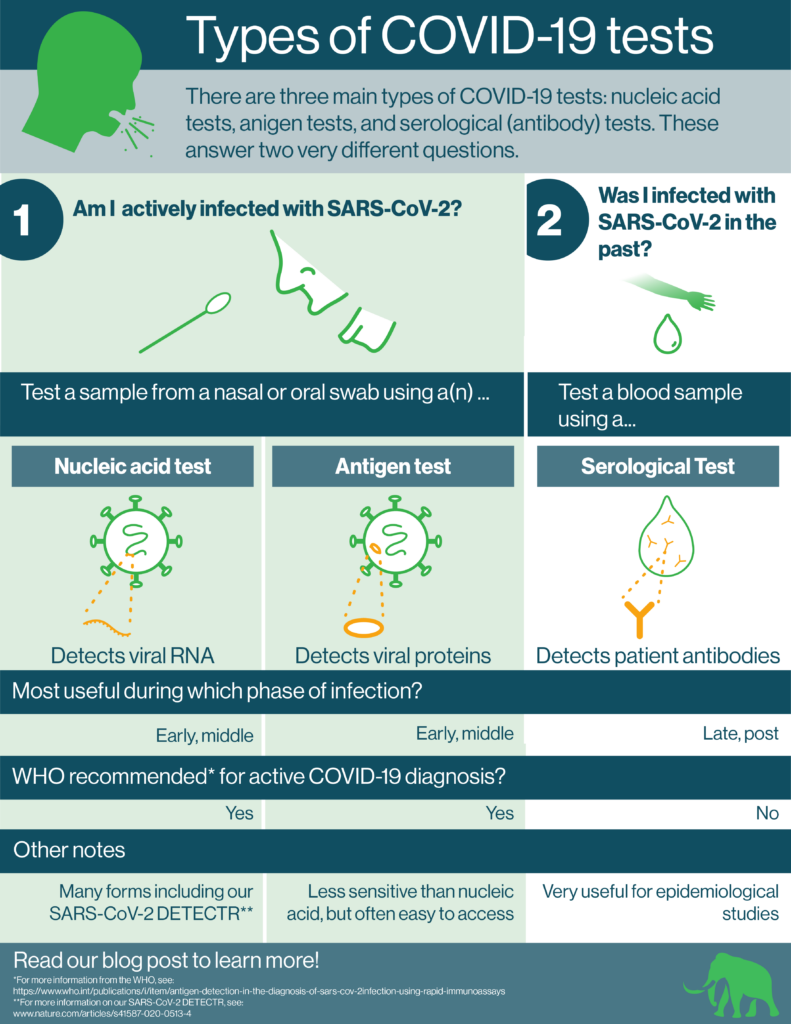 Types of COVID-19 tests - Mammoth Biosciences